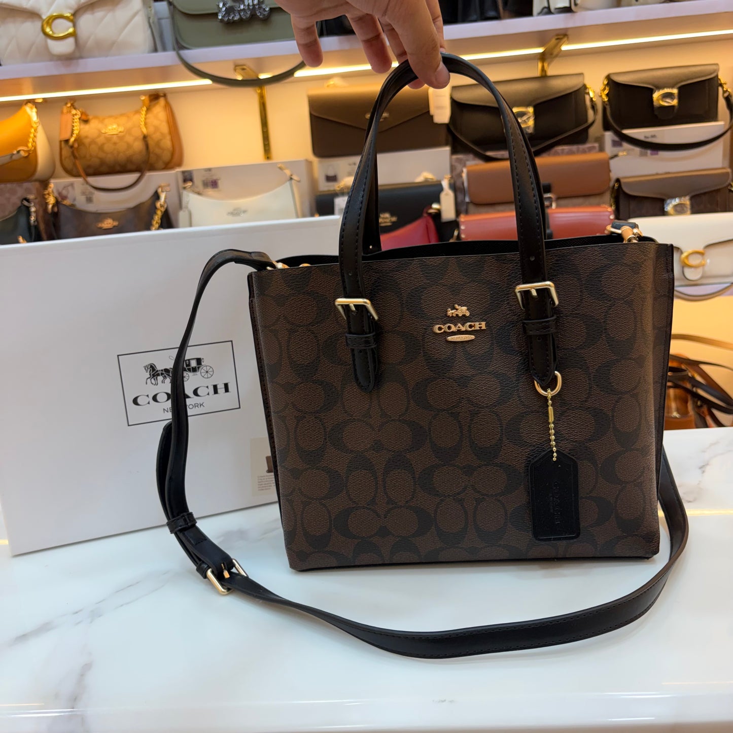 COCH MOLLIE Handbag - Medium (Coffee Black)