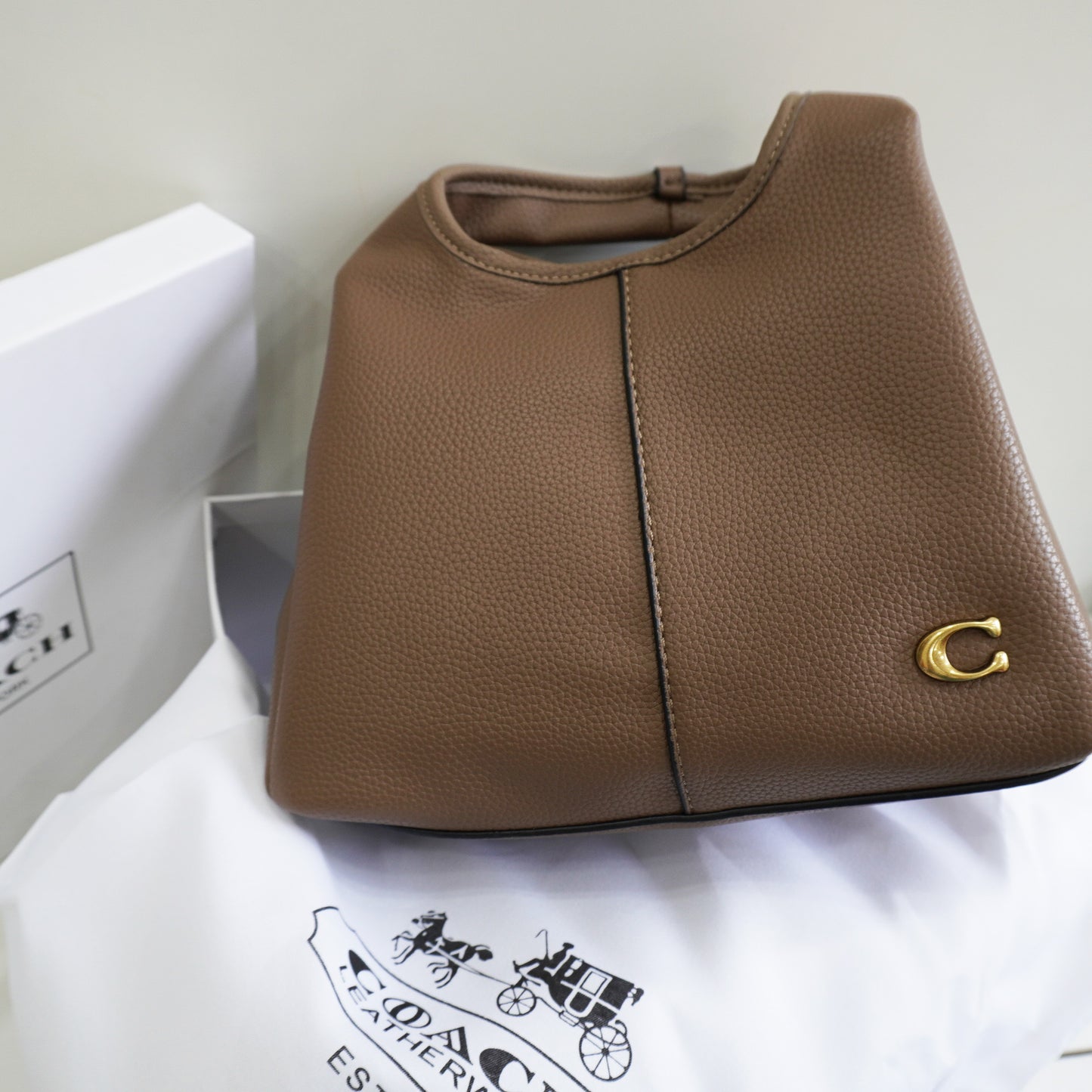 CH Lana Shoulder/Sling Bag - Mouse Colour
