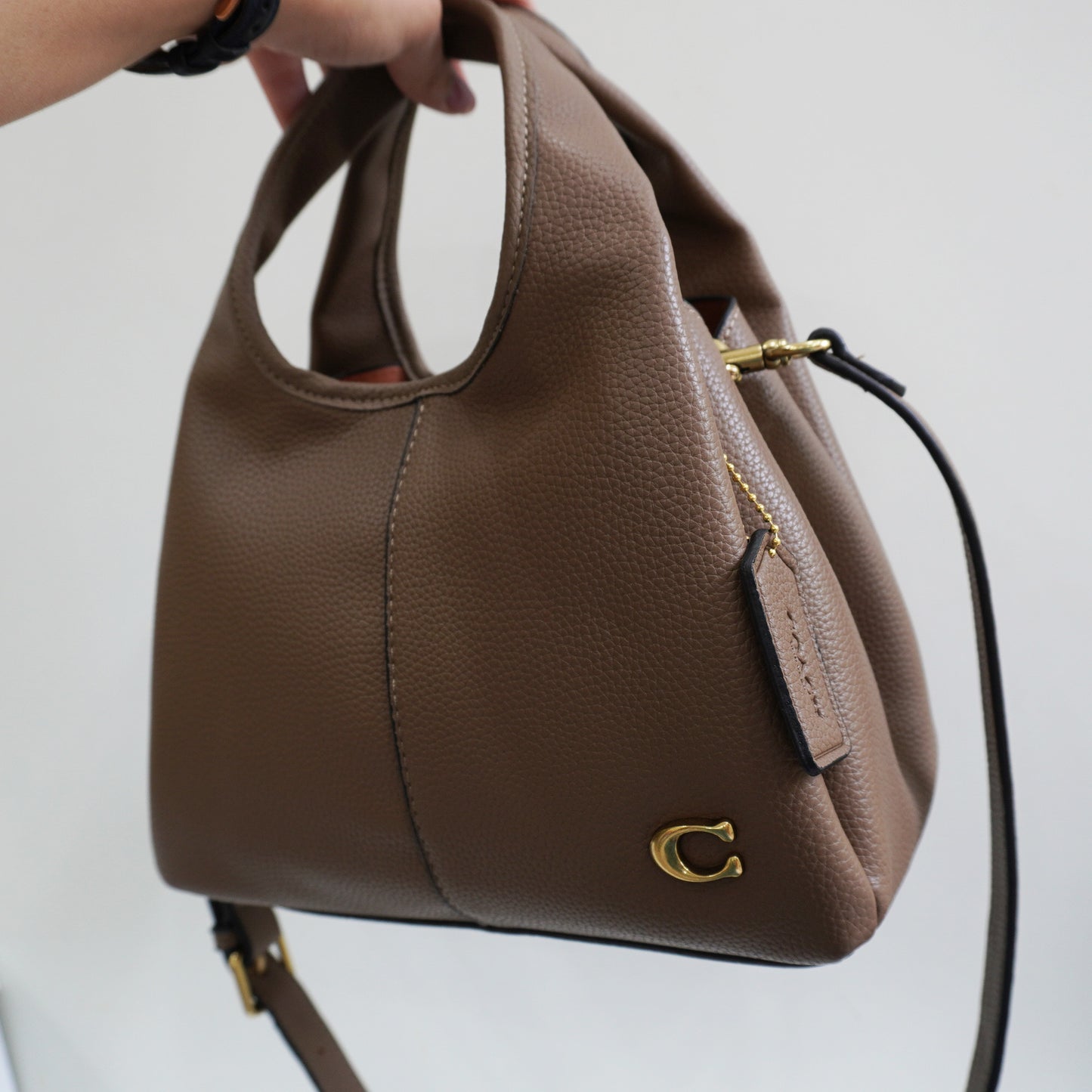 CH Lana Shoulder/Sling Bag - Mouse Colour