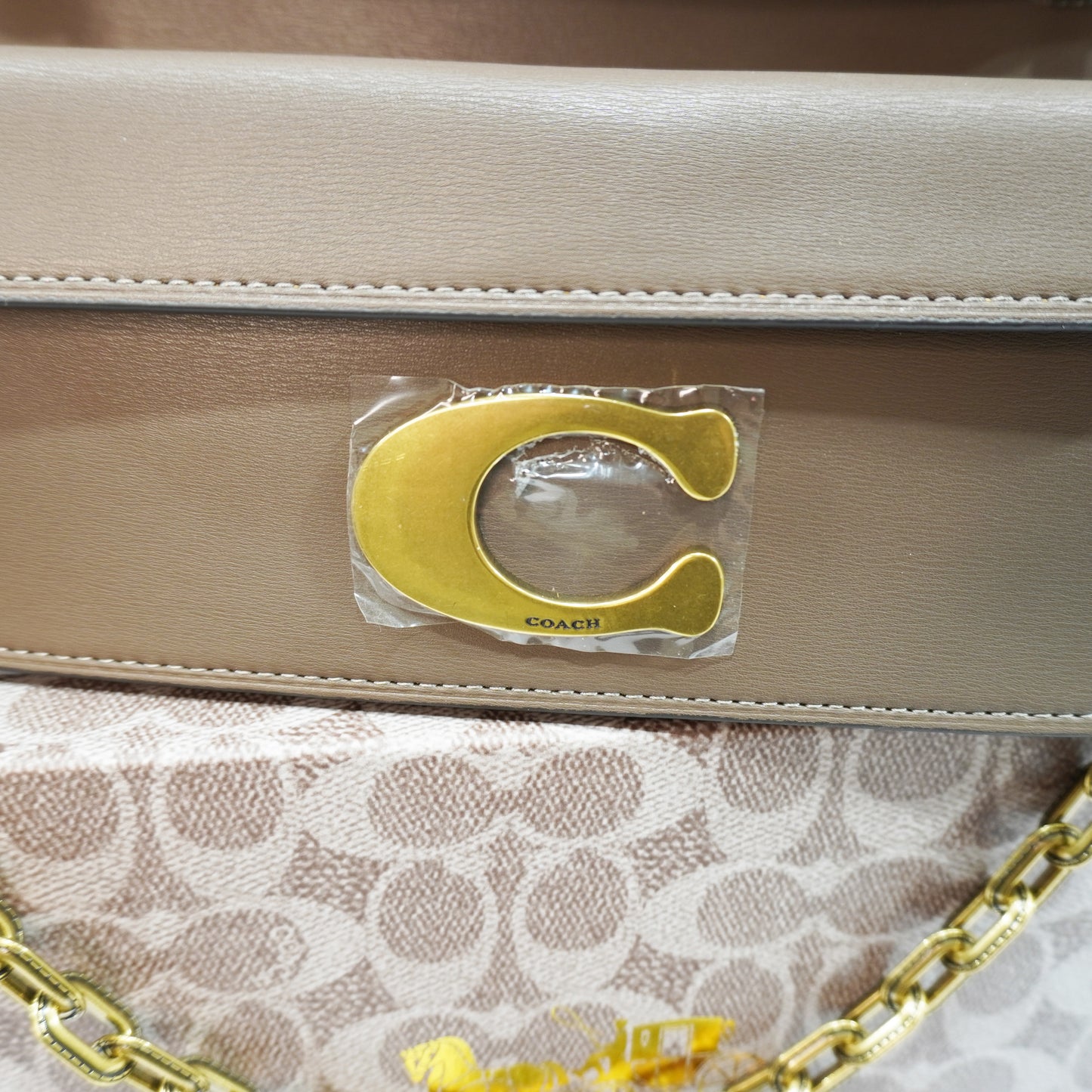 CH33 C Label - Ultra Premium Sling Bag (Mouse Colour)