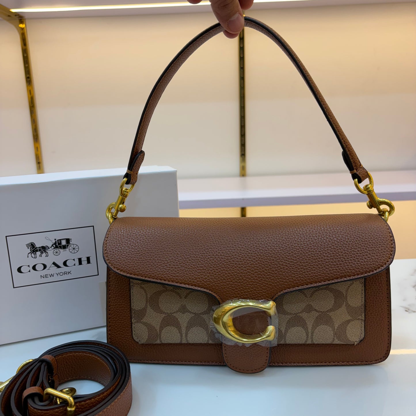 COCH TABBY 26 - Tan Apricot