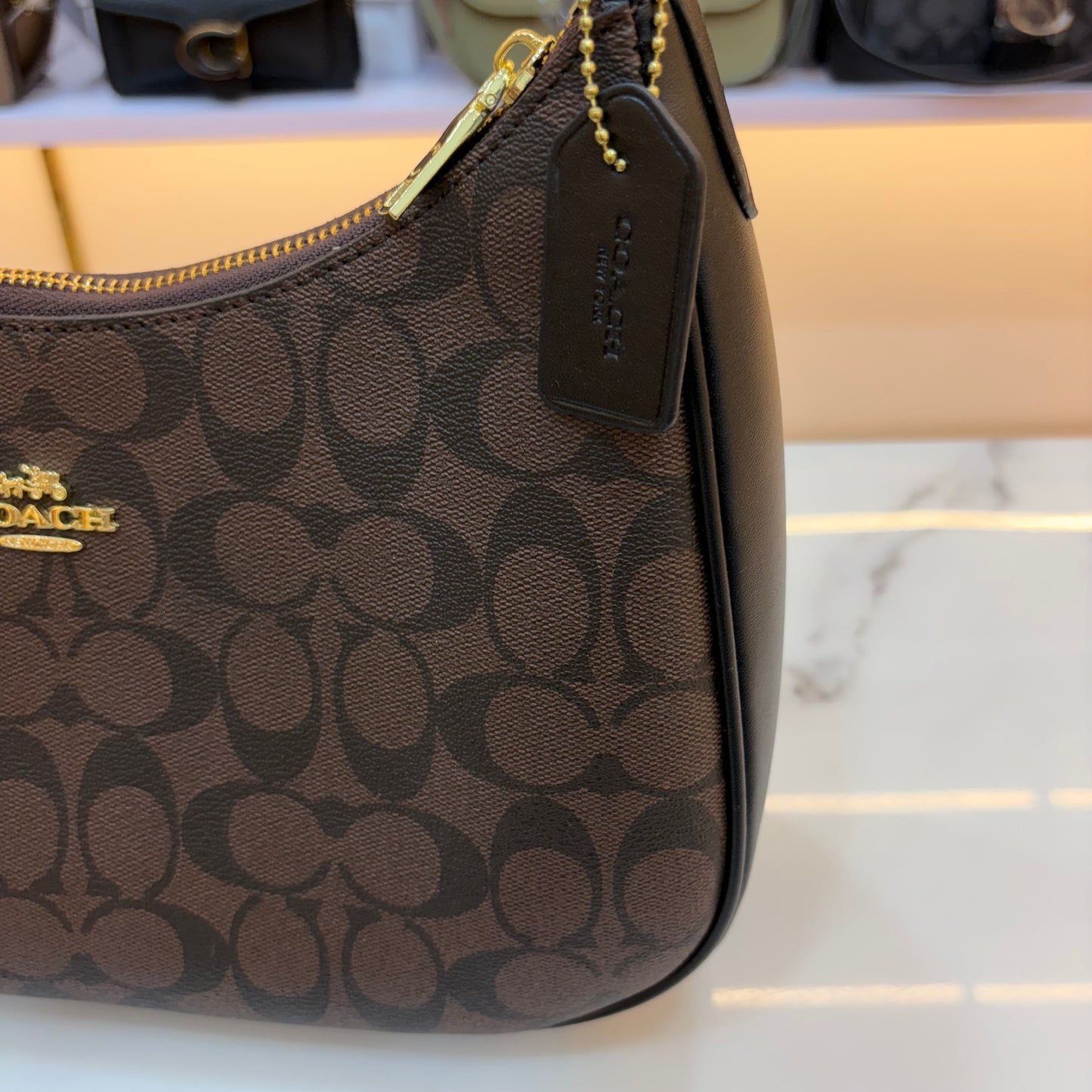 COCH TERI HOBO Shoulder/Sling Bag - Coffee