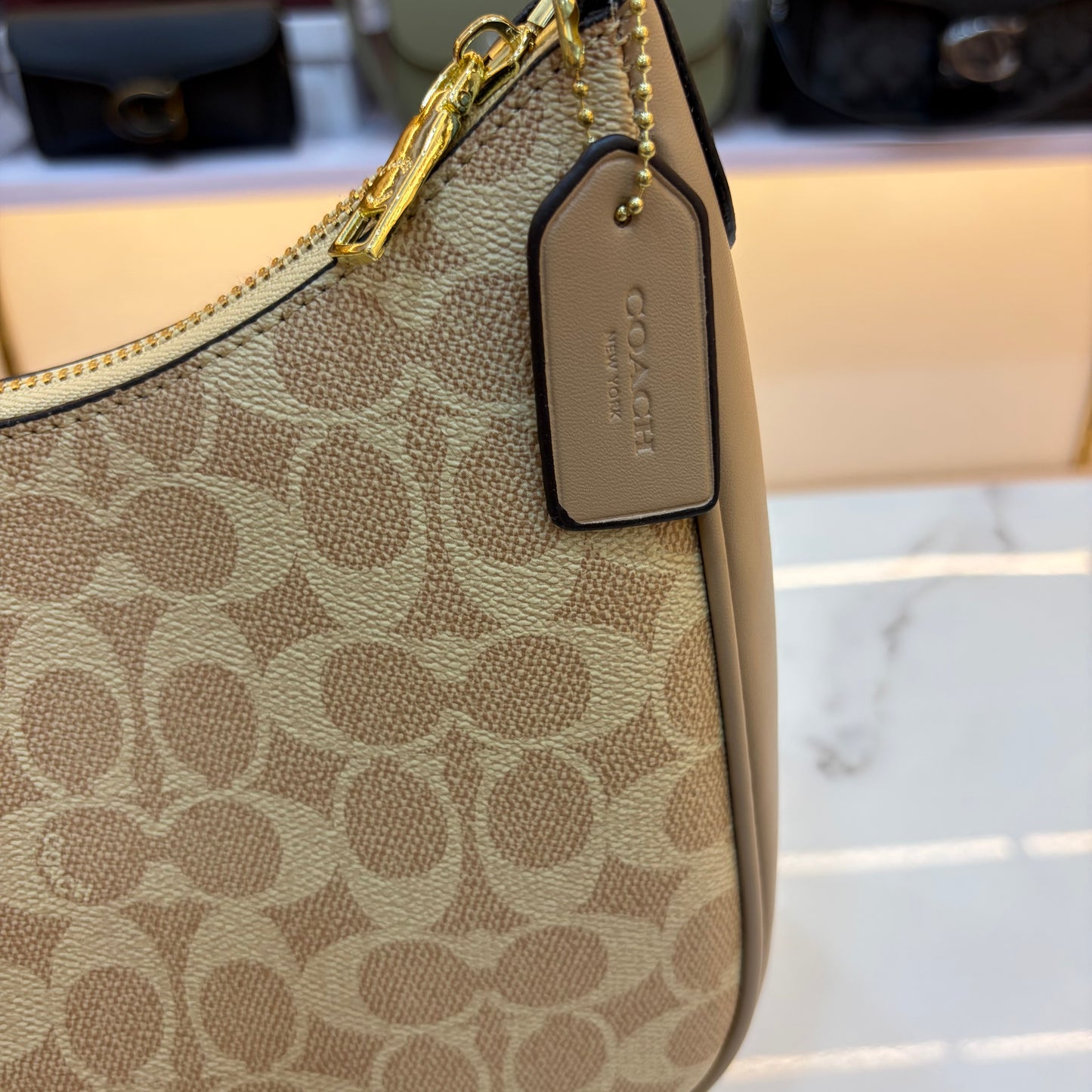 COCH TERI HOBO Shoulder/Sling Bag - Light Apricot