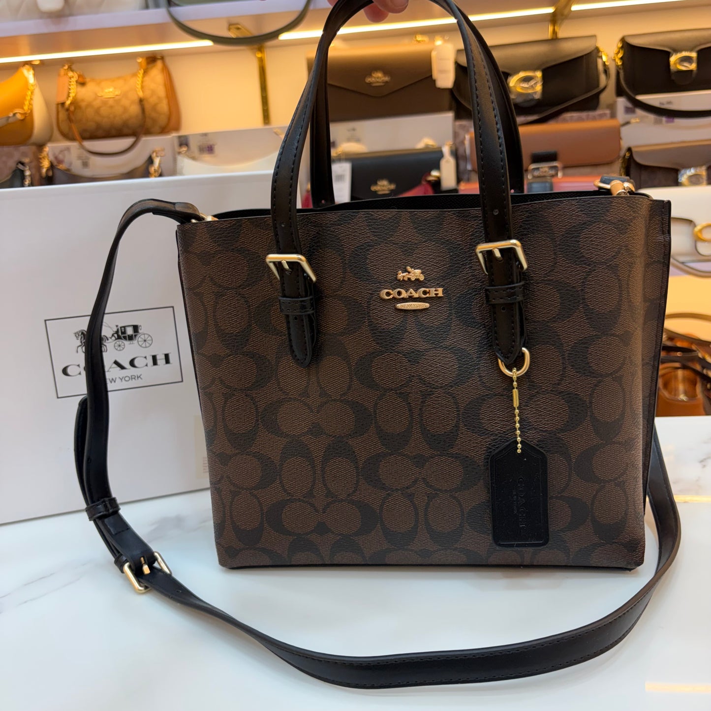 COCH MOLLIE Handbag - Medium (Coffee Black)