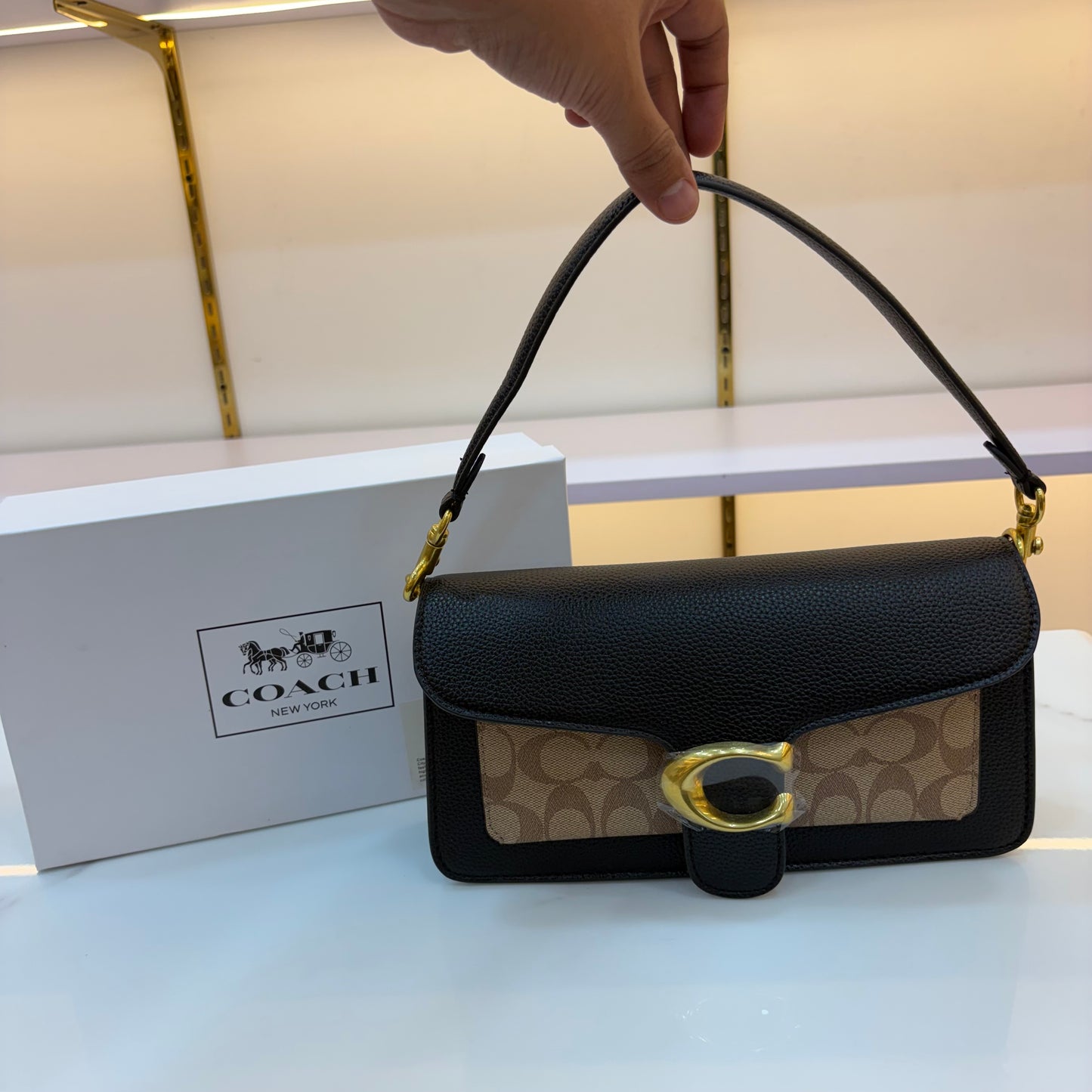 COCH TABBY 26 - Black Apricot