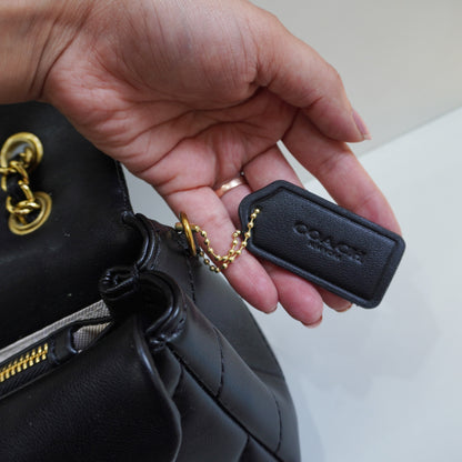 CH33 Quilted Tabby - Black