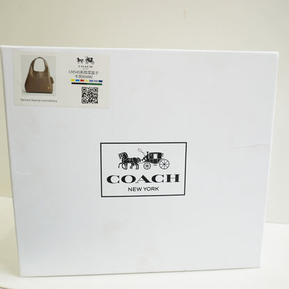 CH Lana Shoulder/Sling Bag - Mouse Colour