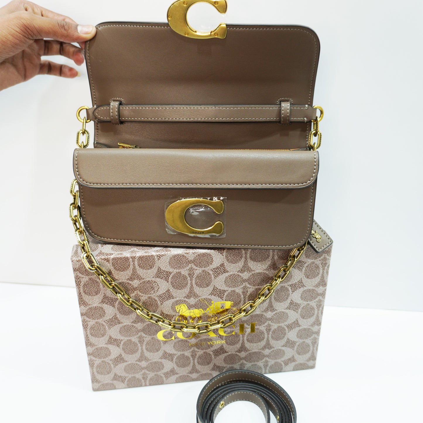 CH33 C Label - Ultra Premium Sling Bag (Mouse Colour)