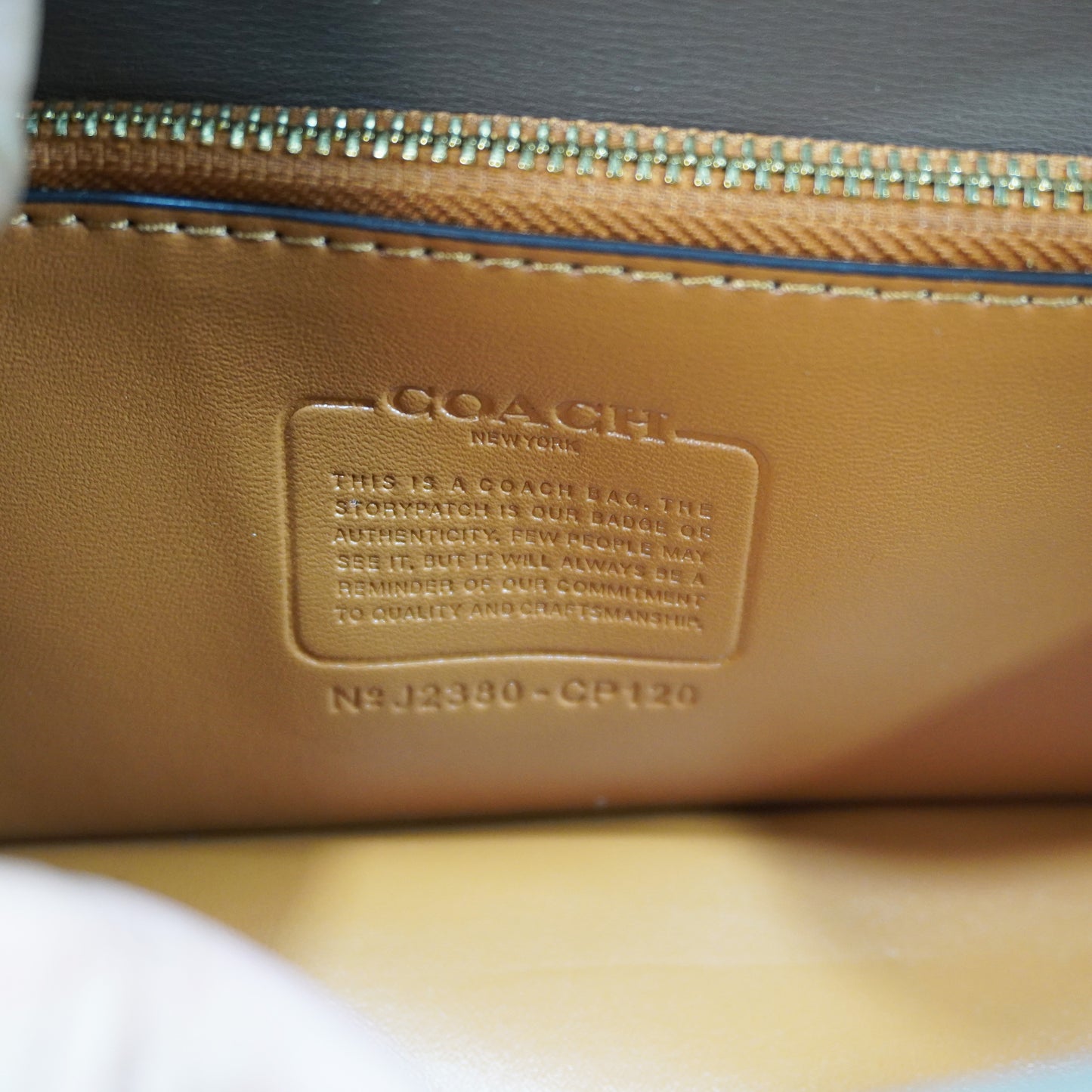CH33 C Label - Ultra Premium Sling Bag (Mouse Colour)