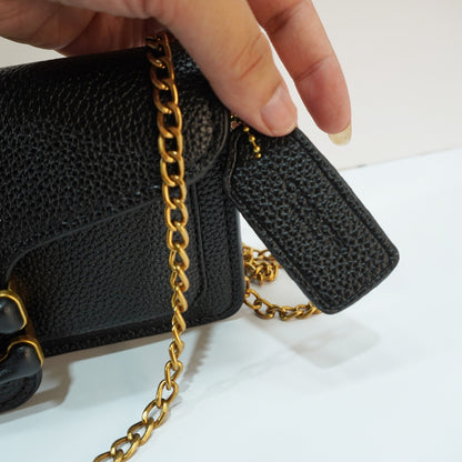 CH55 - Tabby (18) - Black