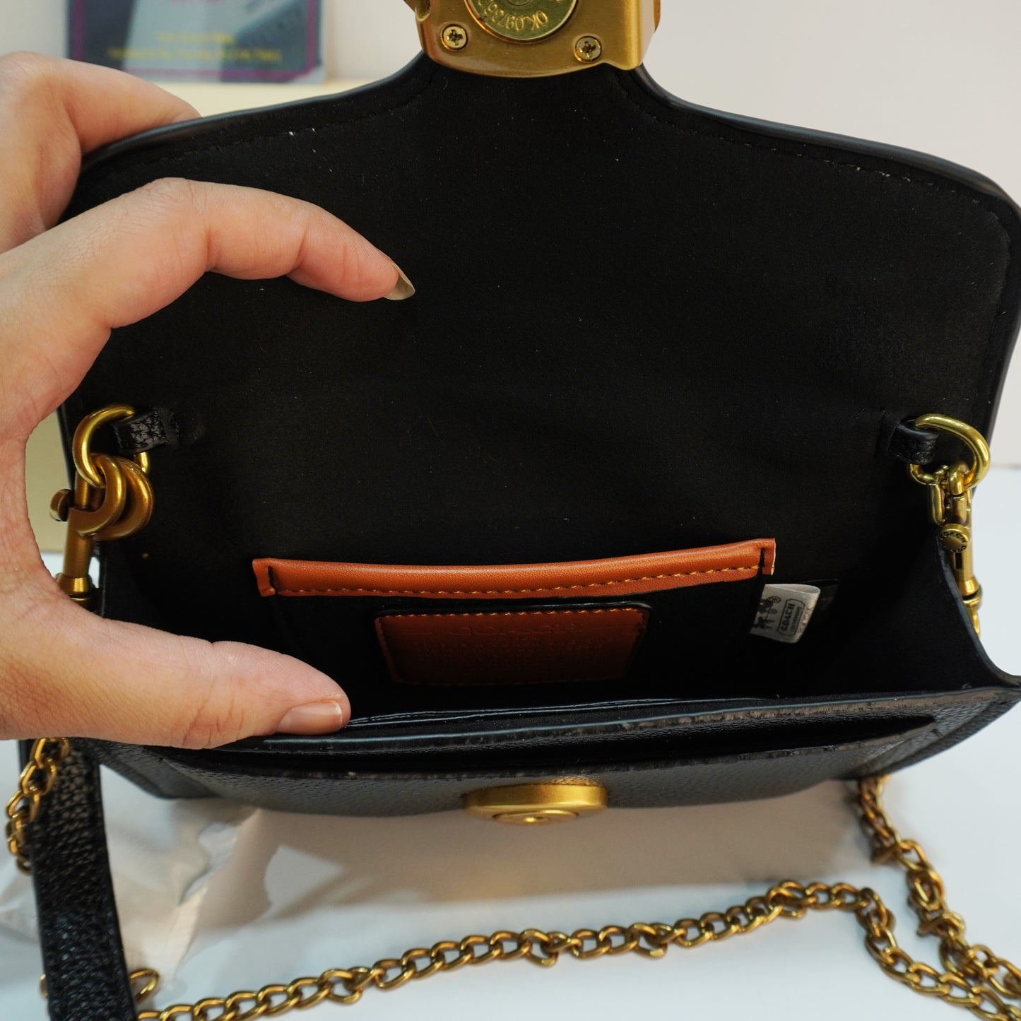 CH55 - Tabby (18) - Black