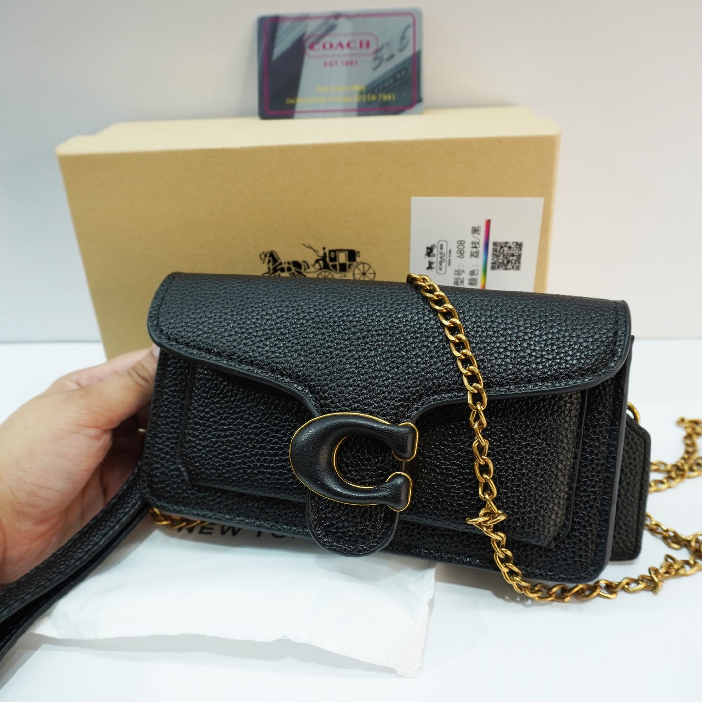 CH55 - Tabby (18) - Black