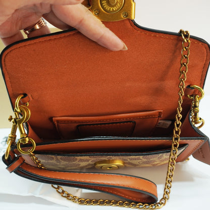 CH55 - Tabby (18) - Tan